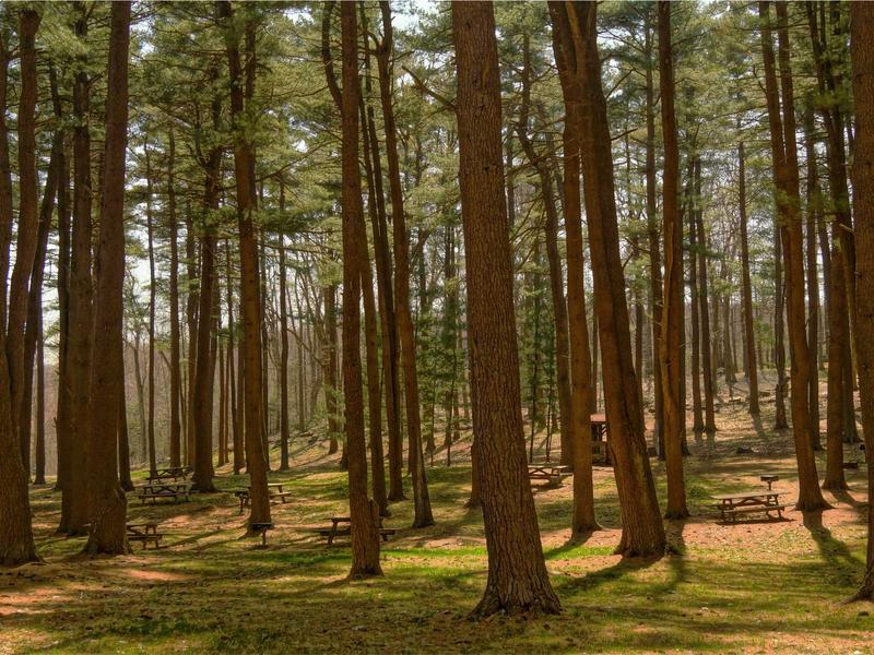 sudoku unique solution screenshot 1