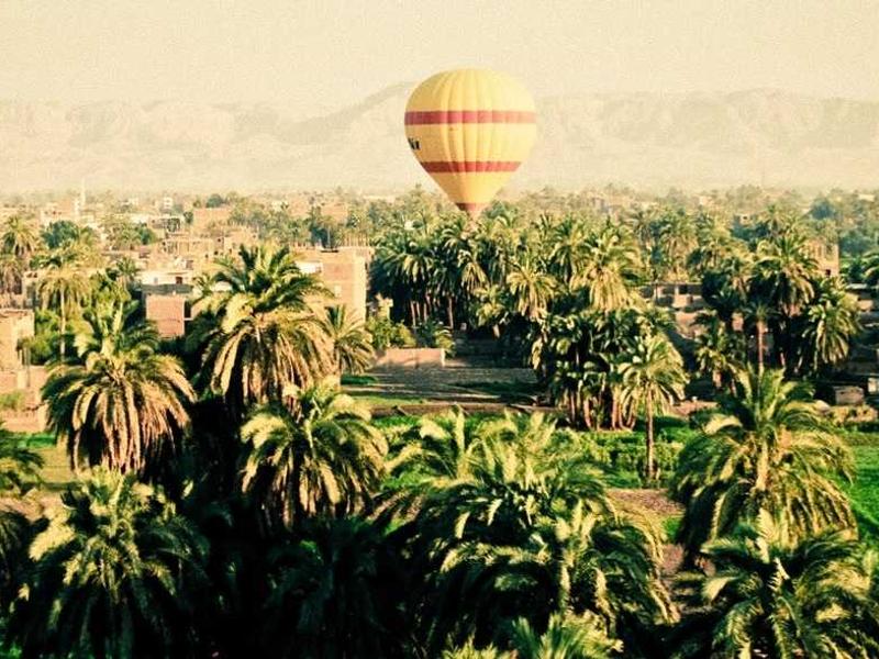 sudoku solver screenshot 5