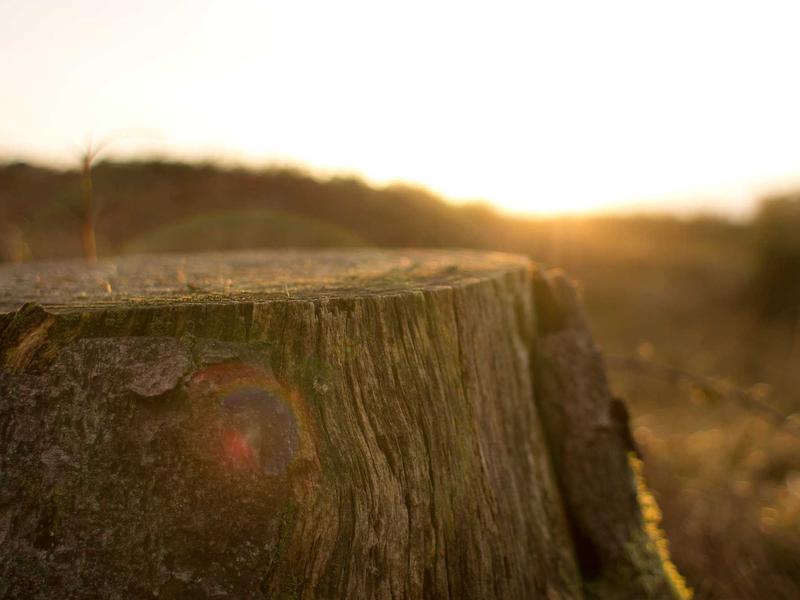 sudoku unique solution screenshot 6